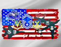 US Air Force Multi-Patch Career retirement