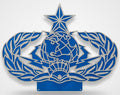 Air Force Cyberspace 5-lvl