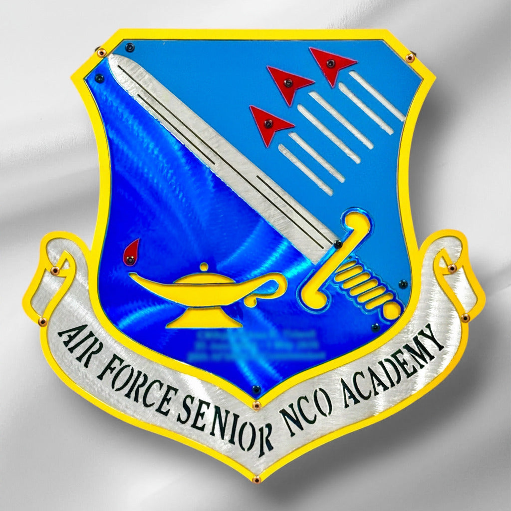 USAF_SNCOA